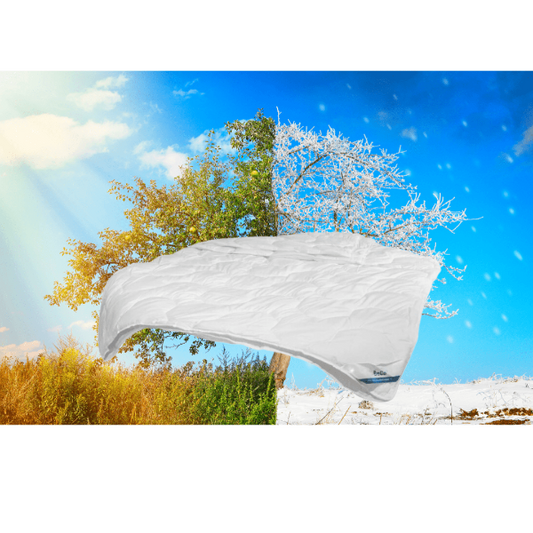 db-deals24 Bettdecke 4-Jahreszeiten von BeCo 200x200 cm
