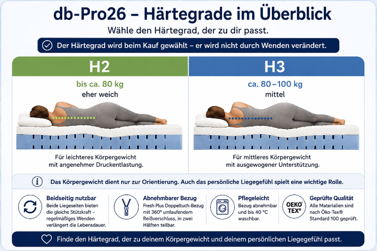 db-deals24 db-Pro26 7-Zonen-Kaltschaummatratze – H2/H3, ca. 27 cm
