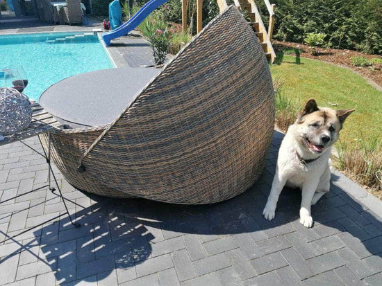 db-deals24 Sonneninsel Classic