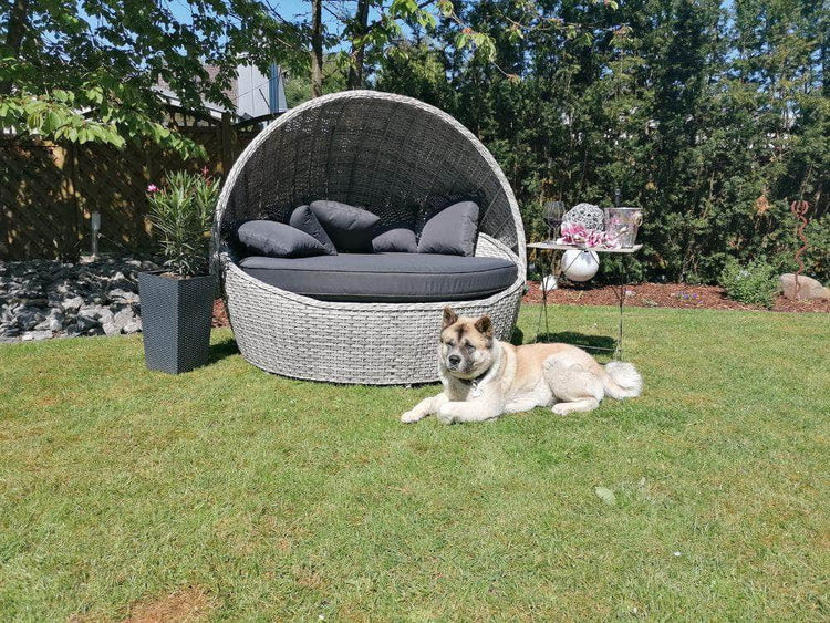 db-deals24 Sonneninsel Exclusiv