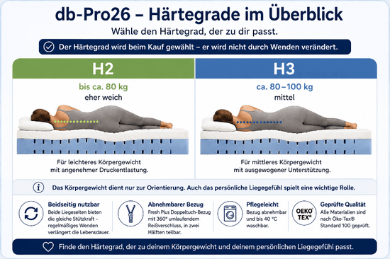db-deals24 db-Pro26 7-Zonen-Kaltschaummatratze – H2/H3, ca. 27 cm